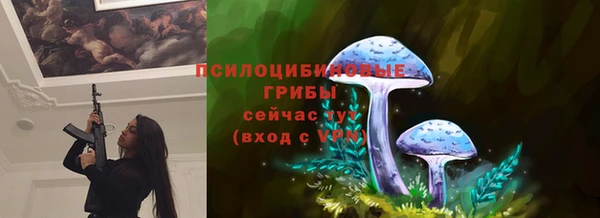 сатива Абинск