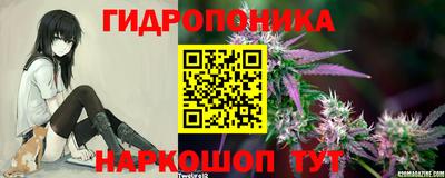 прущие грибы Кимры
