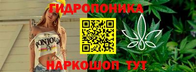 прущие грибы Кимры