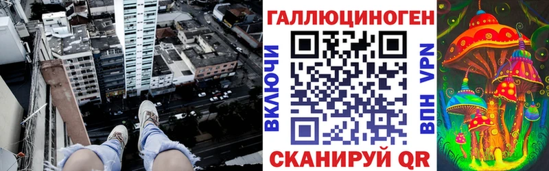 Галлюциногенные грибы Psilocybe  Камышлов 