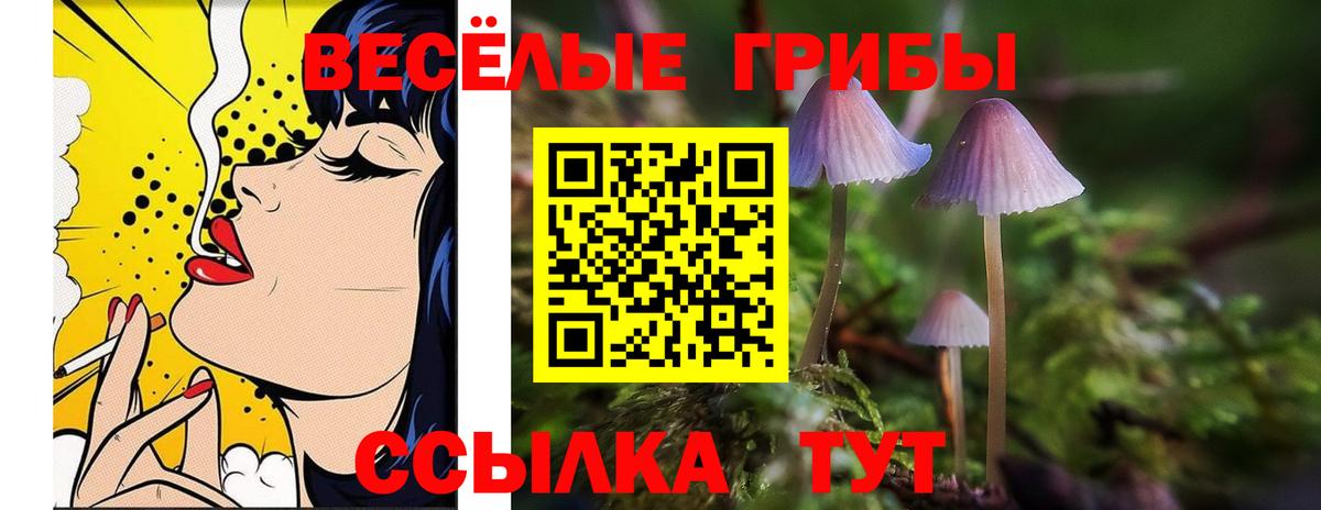 Камышлов  Псилоцибиновые грибы Psilocybine cubensis  Псилоцибиновые грибы Magic Shrooms  Вход с VPN 