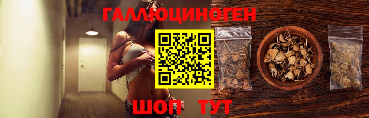 Галлюциногенные грибы Psilocybine cubensis Камышлов
